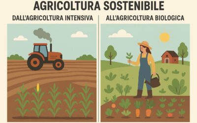 Dall’Abbondanza Insostenibile alla Salute del Suolo: Il Futuro dell’Agricoltura 🌱